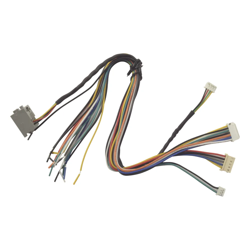 Juego de cables de conexion para Bioentry plus