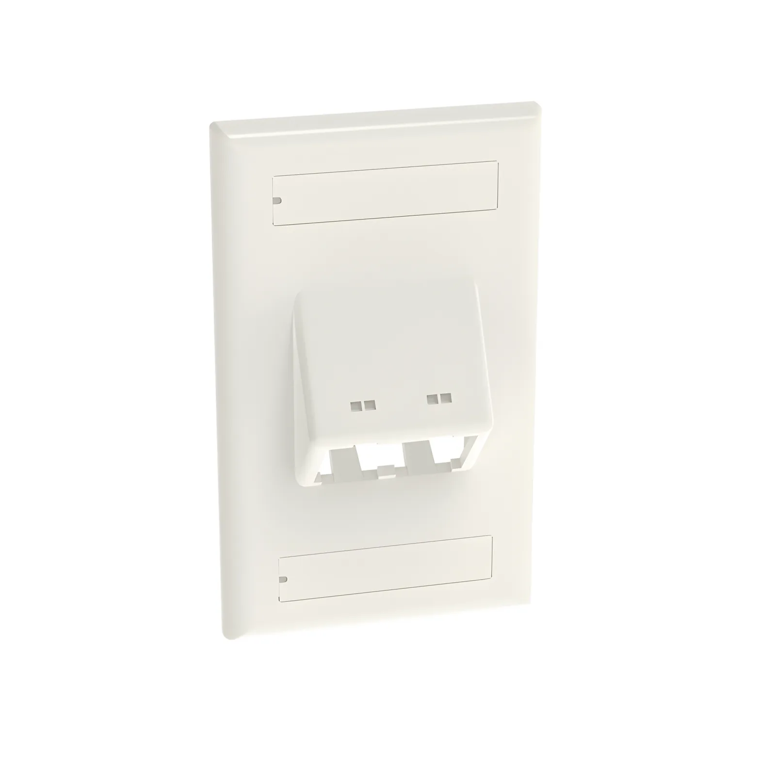 Placa de Pared Vertical Clásica, Salida Para 2 Puertos Mini-Com Inclinados, Con Espacios Para Etiquetas, Color Blanco