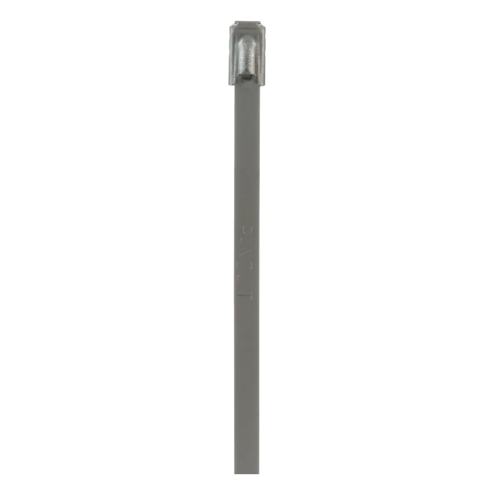 Cincho PanSteel de Acero Inoxidable Tipo 304, 201mm largo x 4.6mm ancho, Color Metálico, Paquete de 100pz