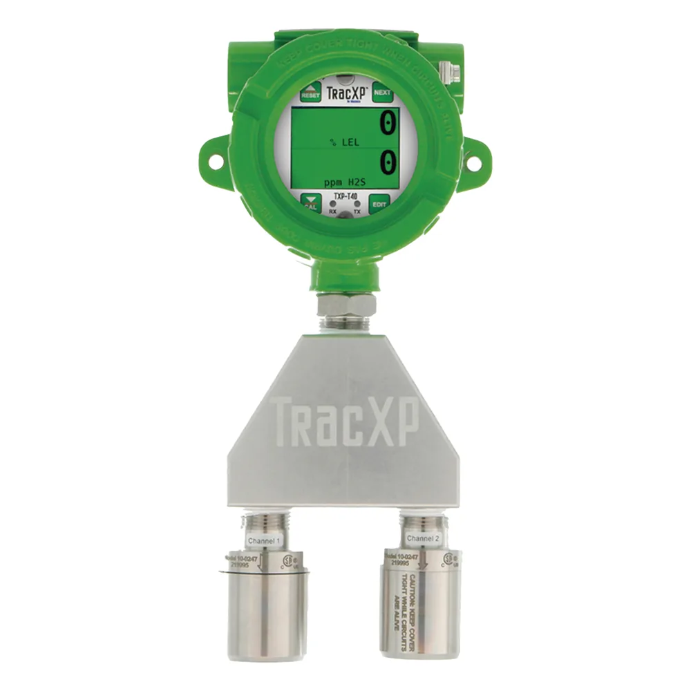 Monitor de Gas de Sensor Dual | Clase 1 Div. 1 | No Incluye Detectores