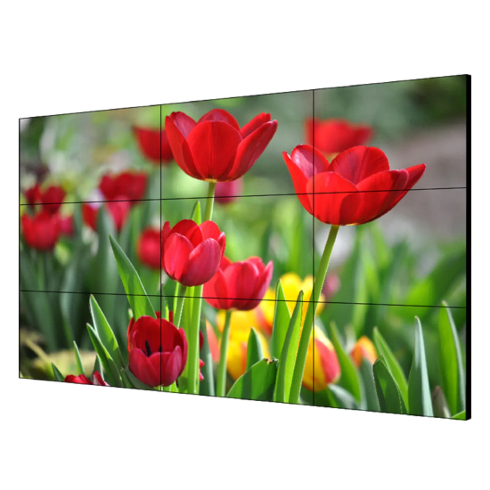 Pantalla LCD 55" para Videowall / Entrada HDMI - VGA - DVI - DP / Monitor Robusto / Bisel Delgado (3.5 mm) / Daisy Chain (Conexion en Cadena sin Software)