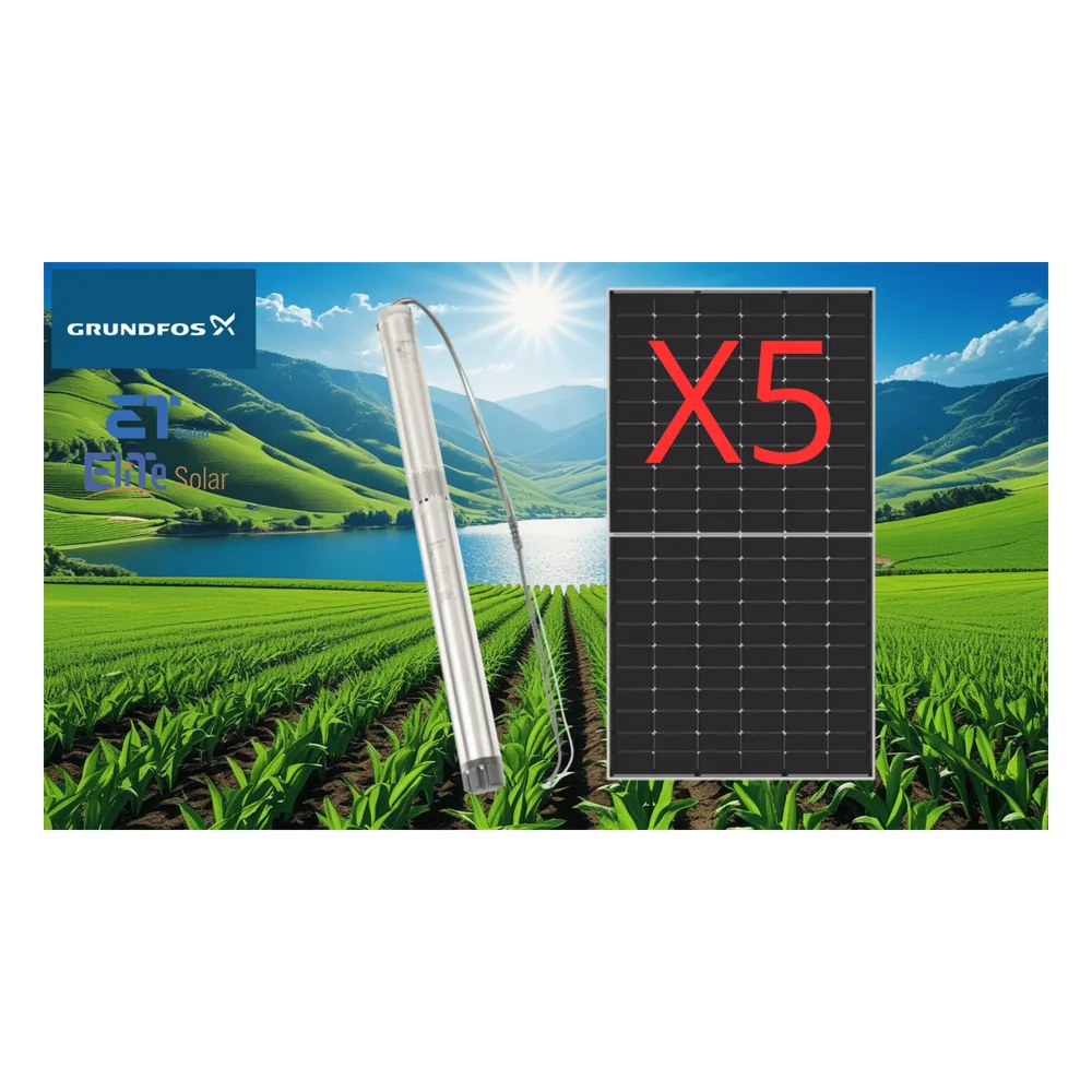 Kit De Bombeo Solar/ Bomba 2.5 Kw / 5 Módulos Solares 610w