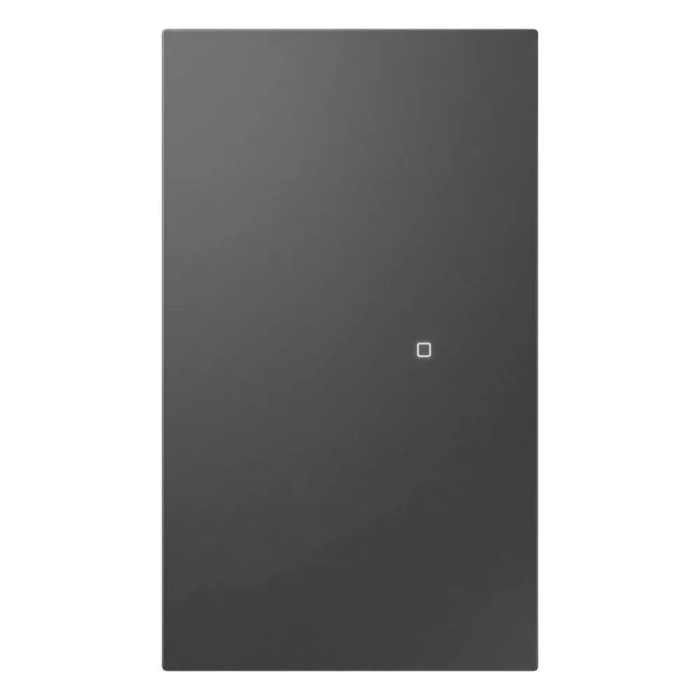 Apagador inalámbrico ZigBee 110-220V 1 GANG