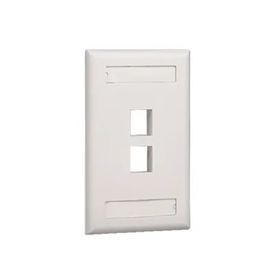 Placa de Pared NetKey Vertical, Salida Para 2 Puertos Keystone, Con Espacios Para Etiquetas, Color Marfil